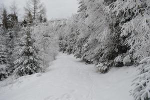 Sľubica 20.1.2018